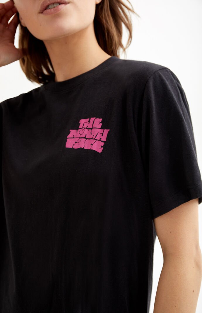 the north face haze logo tee