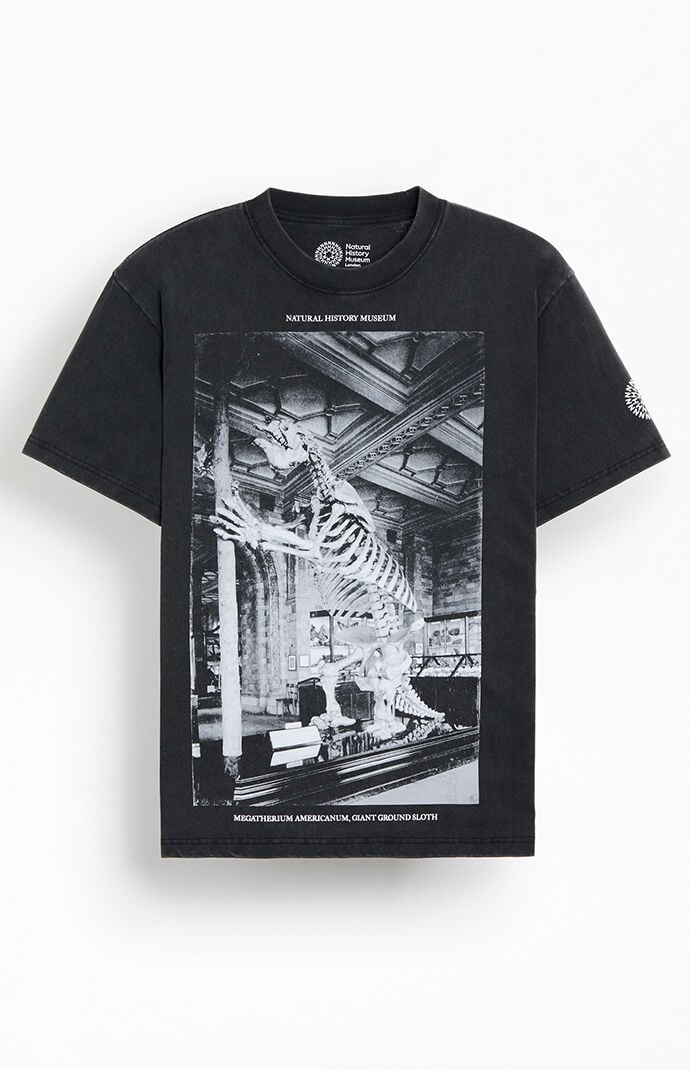 PacSun NHM Dinosaur Fossil T-Shirt