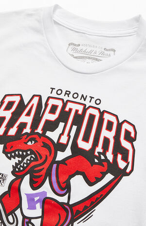 Toronto Raptors Mitchell & Ness Youth Hardwood Classics Overtime