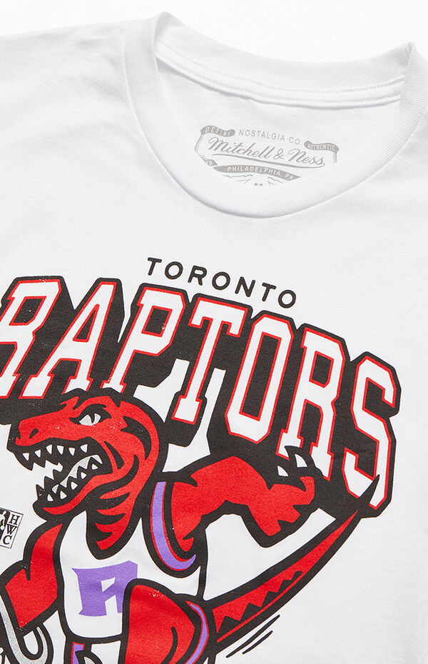 raptors tee