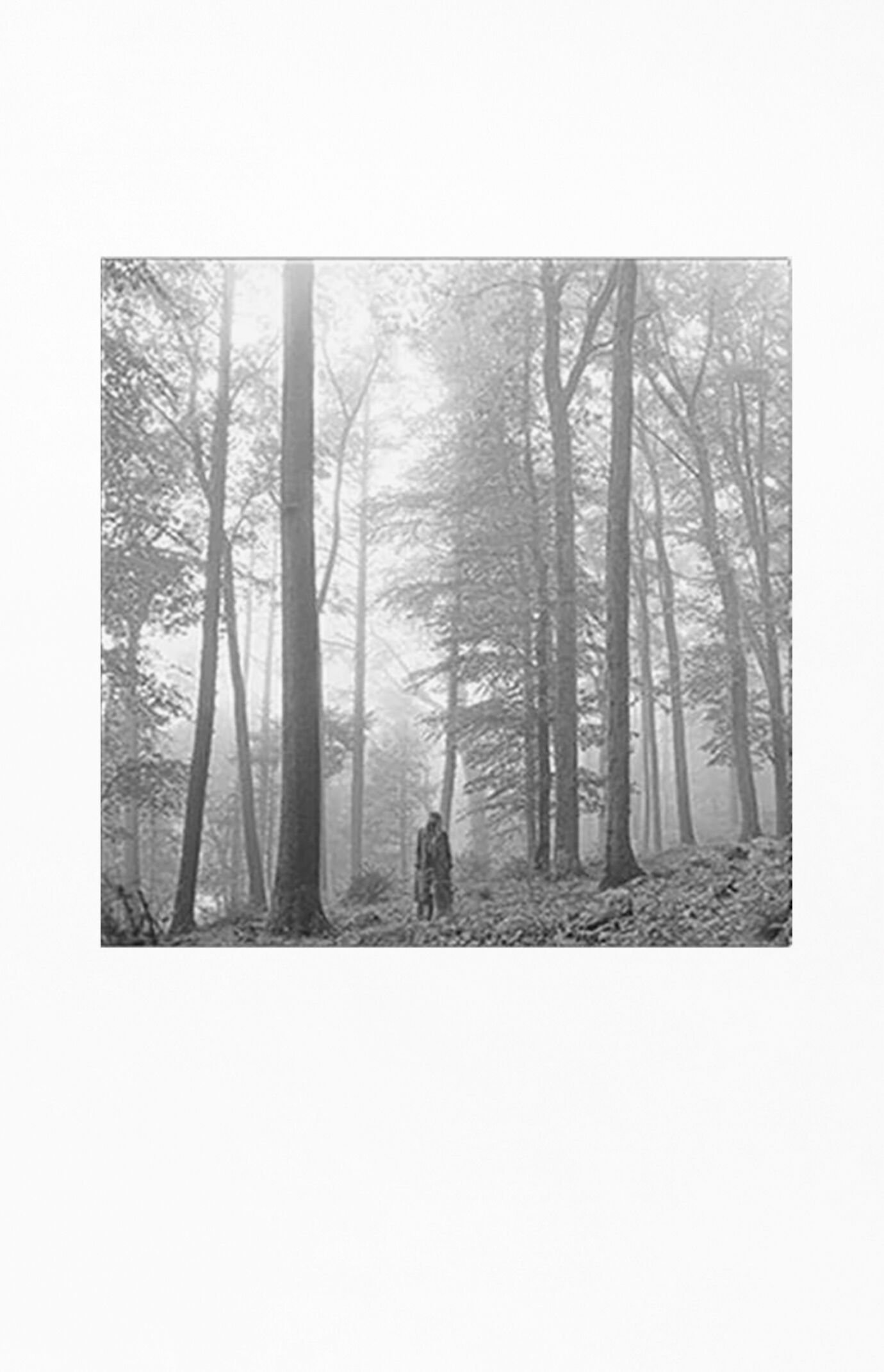 PacSun Taylor Swift Folklore Vinyl Record