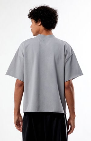 Gray Heavyweight Cropped T-Shirt image number 4
