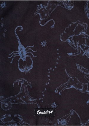 Stargaze 4.7" Swim Trunks image number 3