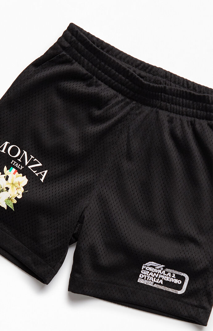 Pacsun basketball shorts shop