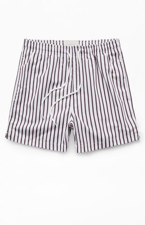 Vertical Stripe 4" Swim Trunks image number 1