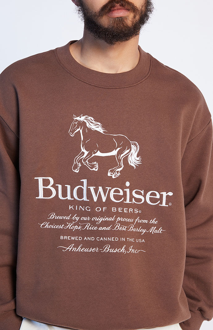 Pacsun horse sweatshirt best sale
