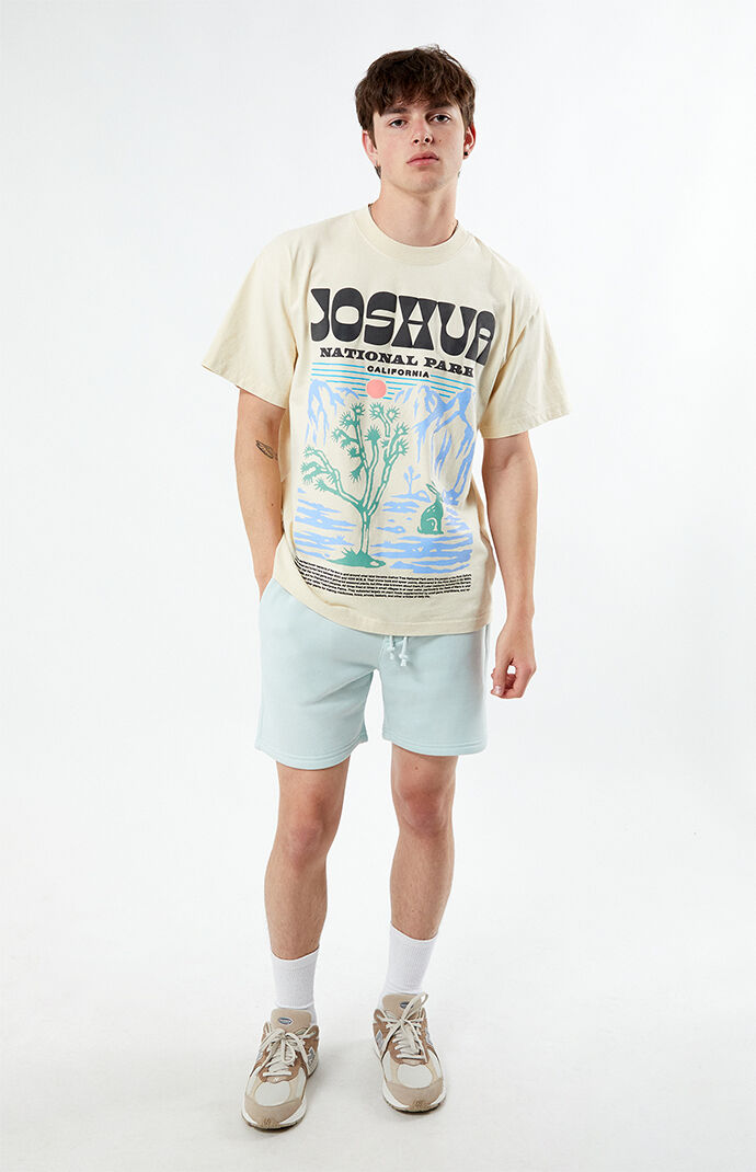 【FOG Essentials】☆Tシャツ☆PacSun Joshua Tree Puff T-Shirt Pacsun Joshua Tree Puff Oversized T-Shirt | PacSun