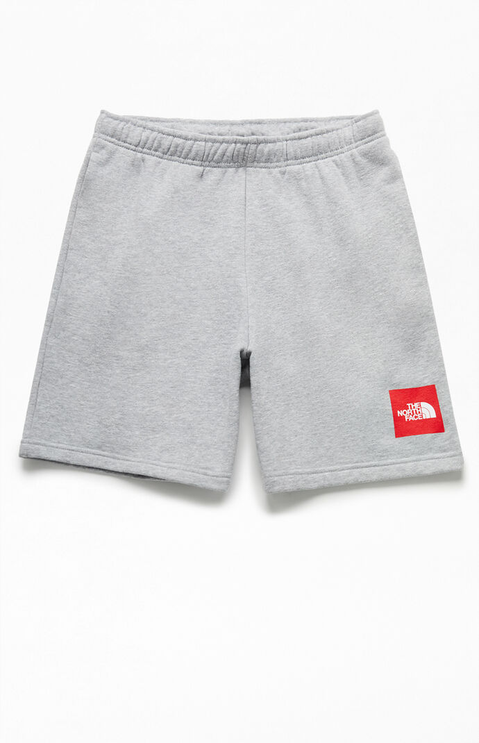 the north face boxer shorts