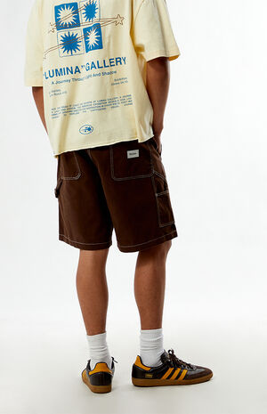 Brown Canvas Carpenter Shorts image number 4