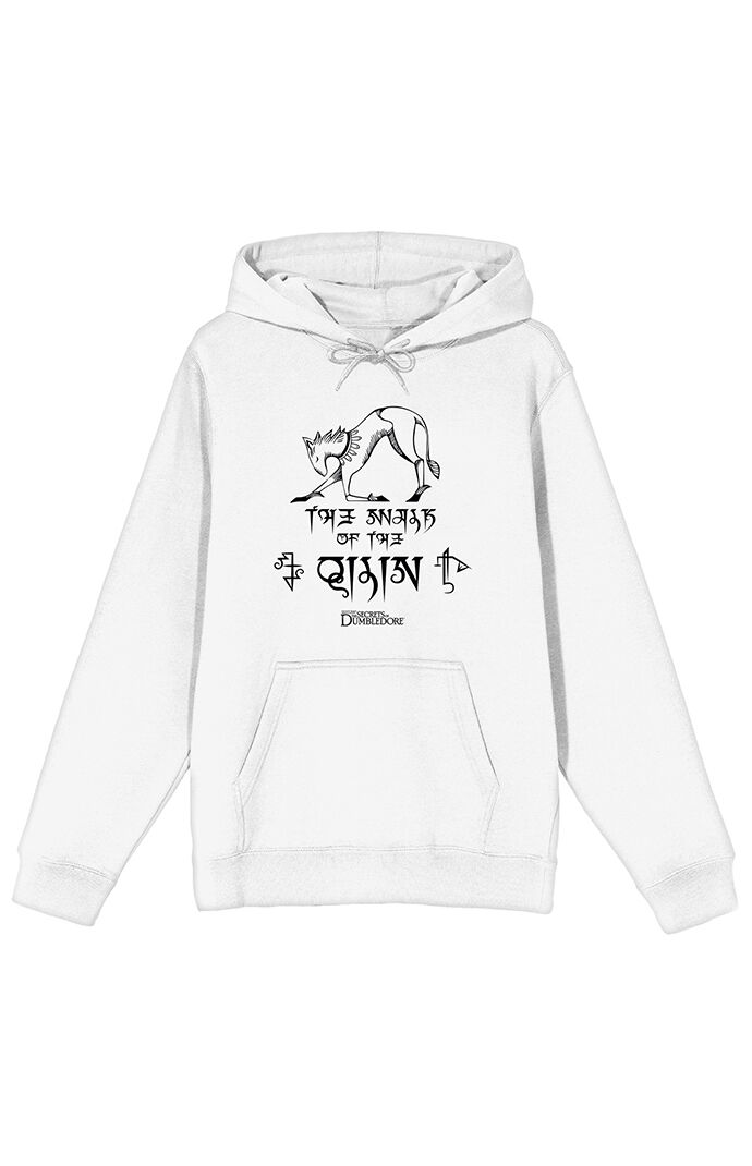 PacSun Fantastic Beasts: The Secrets of Dumbledore Hoodie