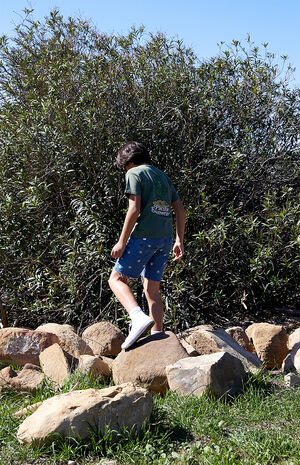 Cactus Graphic T-Shirt image number 6