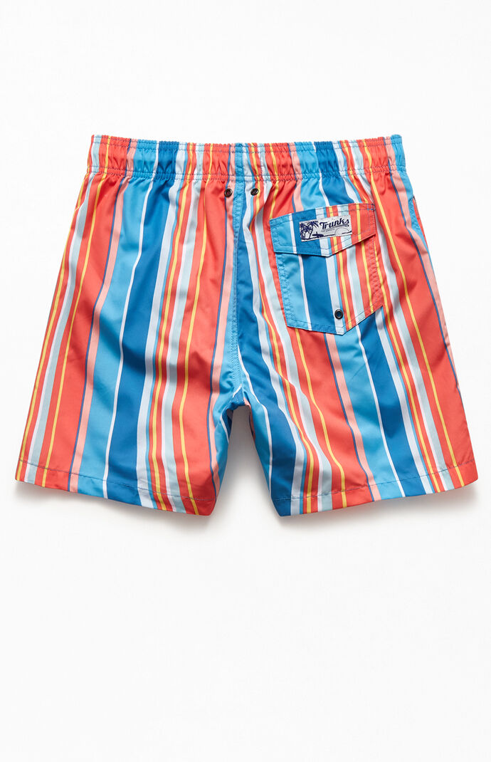 Multicolored Striped 17" Swim Trunks