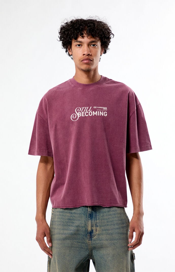 Pacsun Still Becoming Cropped Boxy T-Shirt