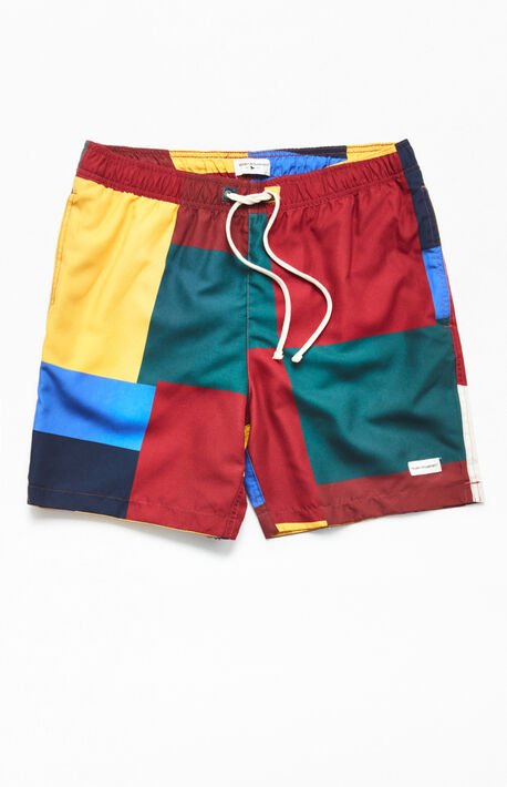 Colorblock 17" Swim Trunks