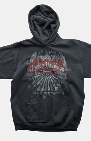 2000s Harley Davidson Pullover Hoodie image number 3