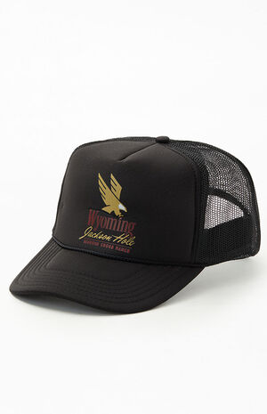 Jackson Hole Trucker Hat image number 4