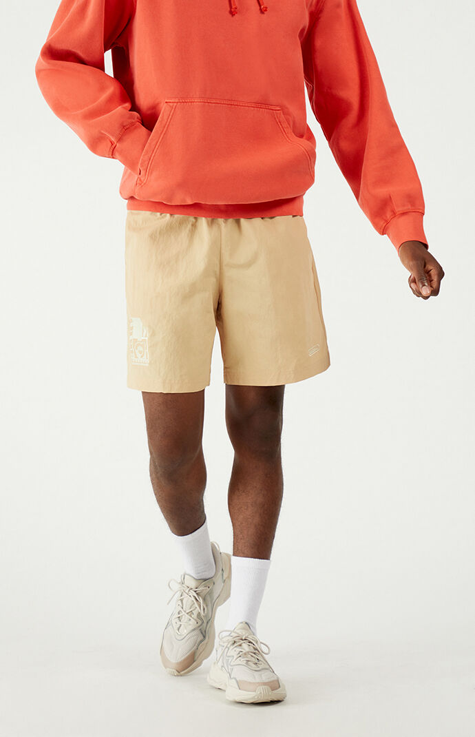 Embroidered Woven Shorts