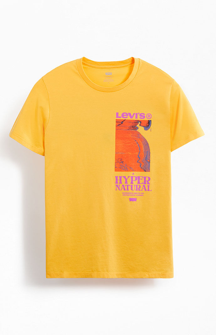 Levi s Classic Graphic T Shirt PacSun