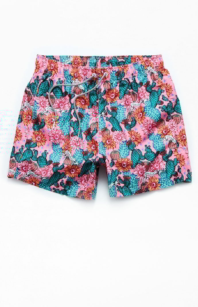 boardies swimwear