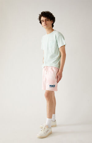 By PacSun Crystal Shorts By PacSun Crystal Shorts image number null