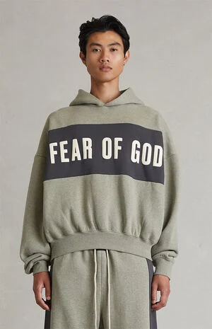 Seal Paneled Cropped Relaxed Hoodie image number 2
