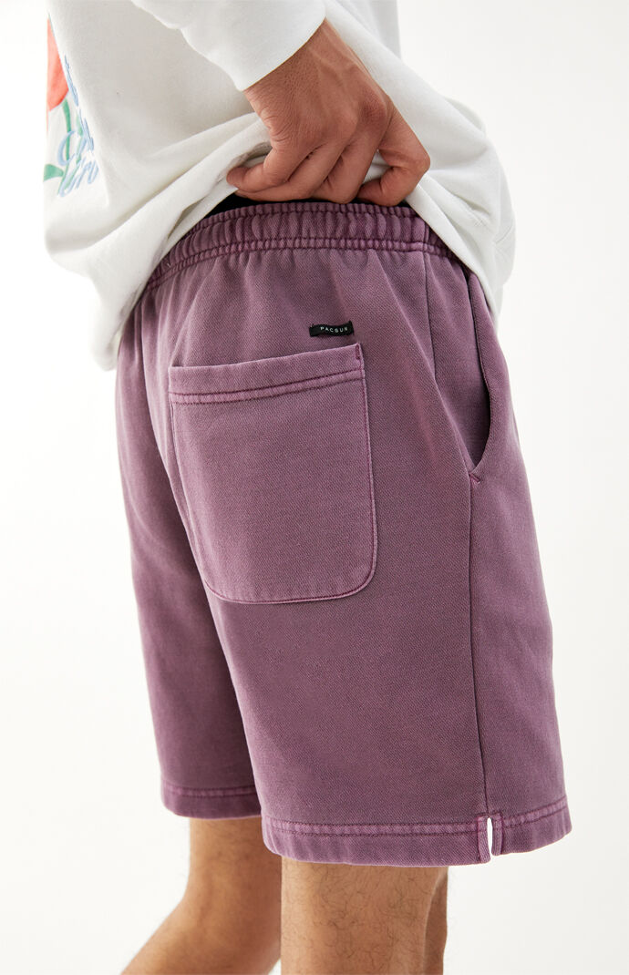 Berry Vintage Wash Fleece Volley Shorts