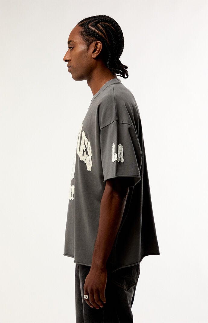 Pacsun LA Applique Knit T-Shirt
