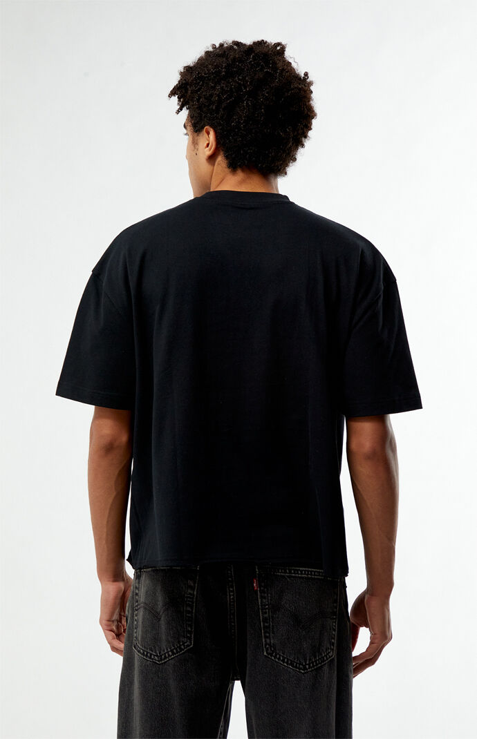 Pacsun Sanctum Cropped Boxy T-Shirt | Pacsun