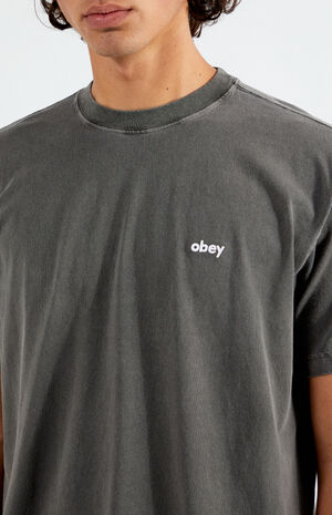 Lowercase Pigment T-Shirt image number 2