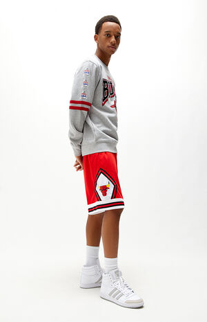Big Face 3.0 Bulls Basketball Shorts Big Face 3.0 Bulls Basketball Shorts image number null
