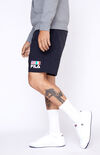 Flag Nylon Shorts Flag Nylon Shorts image number null