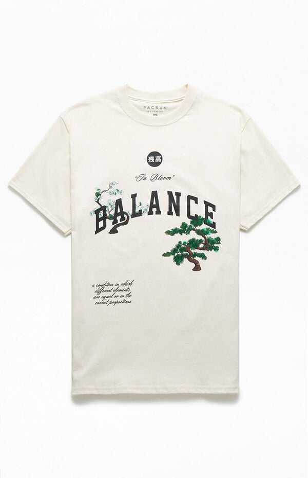 Pacsun Balance T-Shirt