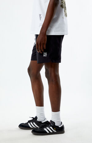 x PacSun Logo 6.5" Swim Trunks image number 2