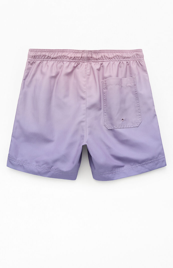 Pacsun Purple Gradient Eco 4.5" Swim Trunks