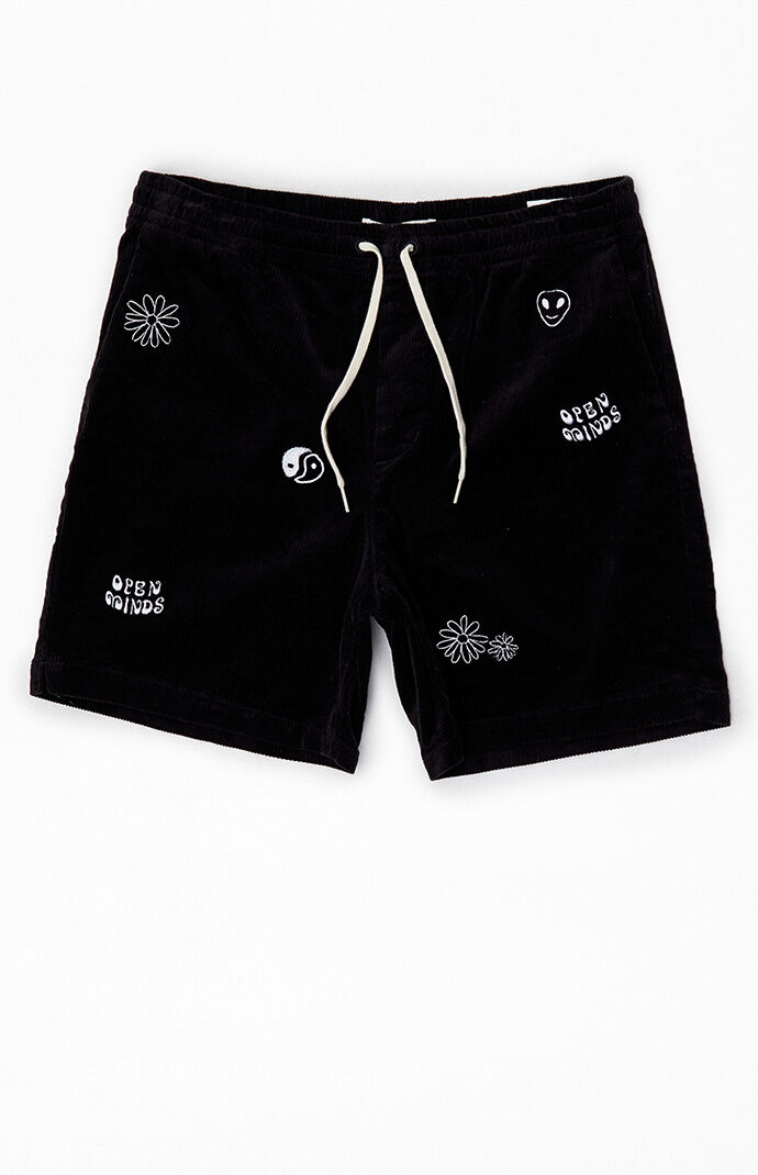 Pacsun volley shorts hotsell