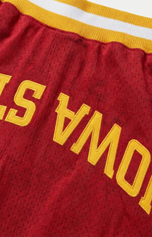 Iowa State University Cyclones Varsity Mesh Shorts image number 2