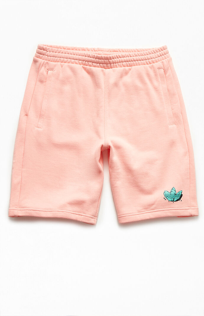 Funny Dino Sweat Shorts