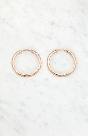 Gold Hoop Earrings image number 1
