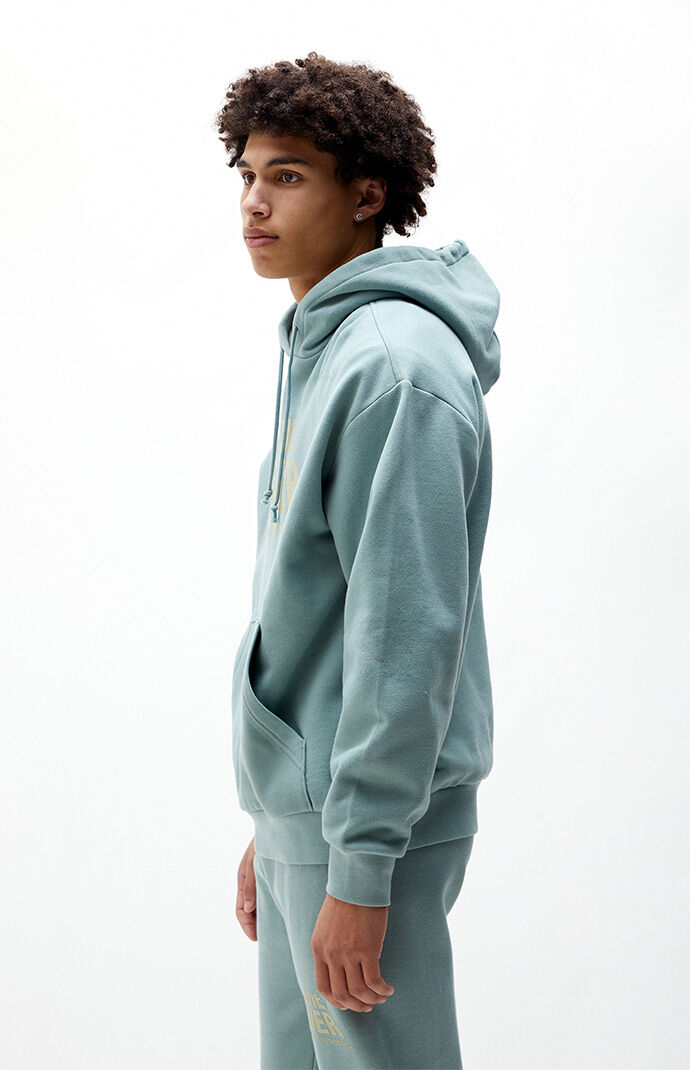 dog popcorn hoodie