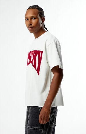 Misery Cropped Boxy T-Shirt image number 3