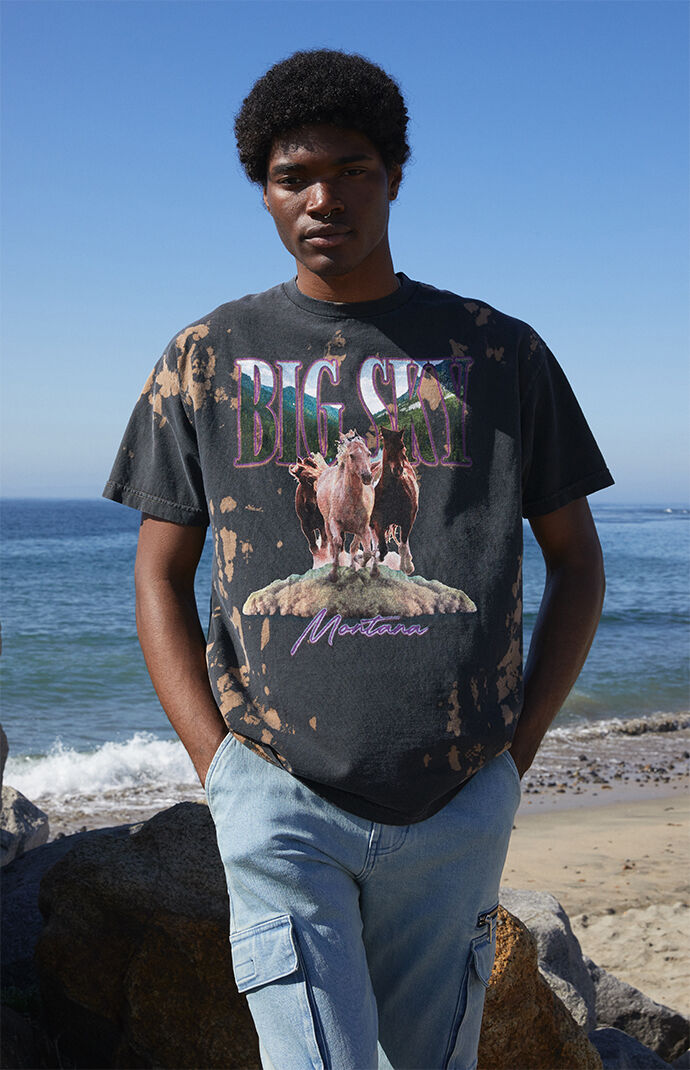 Big Sky Vintage Bleach T-Shirt