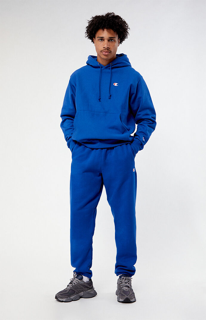 Spry berry purple champion hoodie on sale