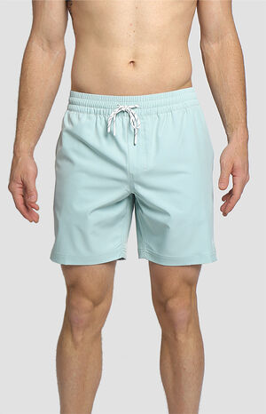 Eco Seeker Volley Mint 17.5" Swim Trunks image number 1