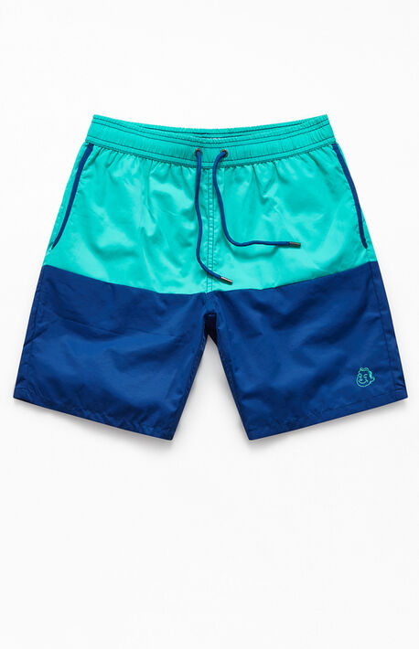 Dale Colorblock 17" Swim Trunks
