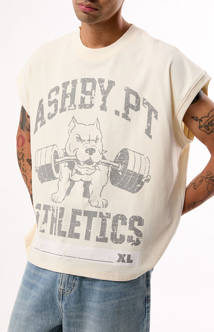 Pacsun Ashby PT Muscle Tank Top
