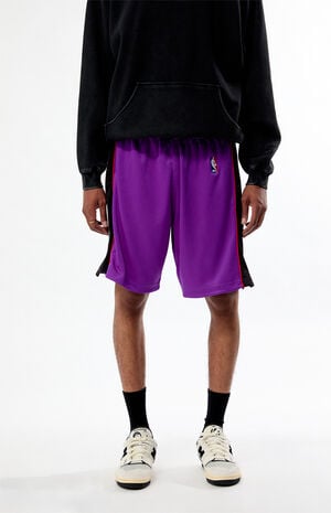 NBA Toronto Raptors Mesh Shorts image number 2