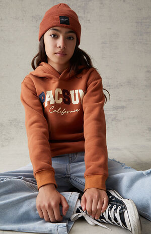 Brown Basic Logo Hoodie image number 1