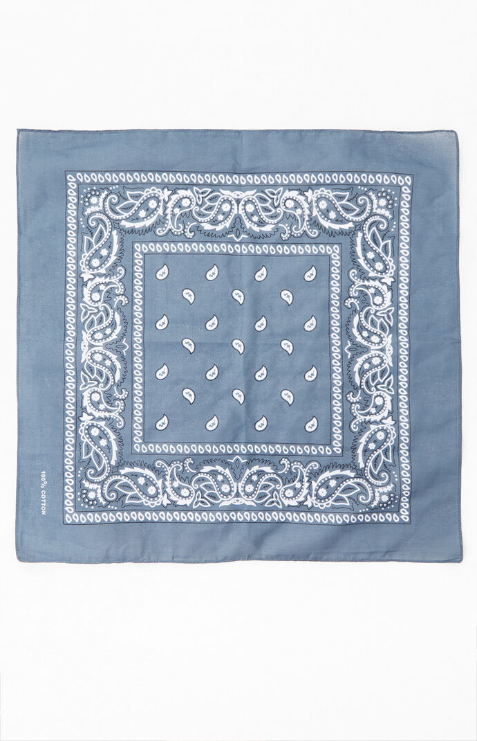 Gray Bandana