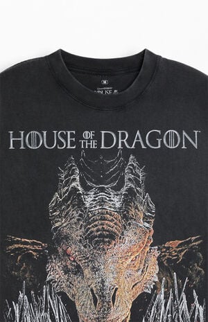 House Of The Dragon Face T-Shirt image number 2