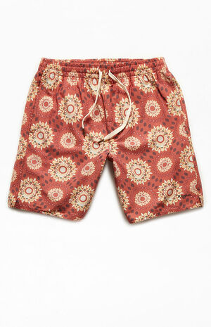 Recycled Burst 17" Swim Trunks image number 1